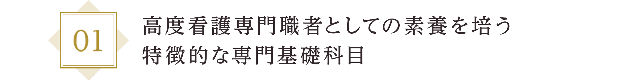 高度看護専門職者としての素養を培う 特徴的な専門基礎科目