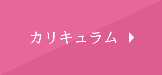 カリキュラム