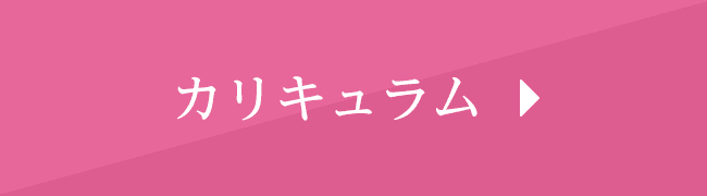 カリキュラム